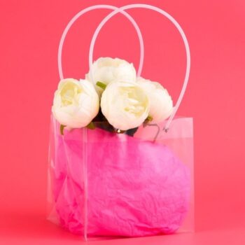 Пакет прозрачный с ручками 16*15*17см